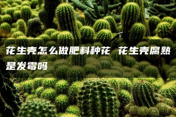 花生壳怎么做肥料种花 花生壳腐熟是发霉吗