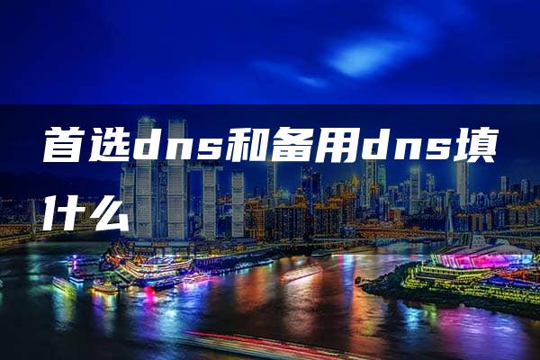 首选dns和备用dns填什么