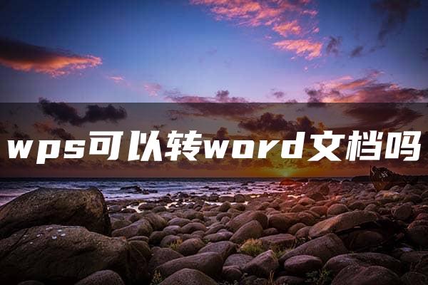 wps可以转word文档吗