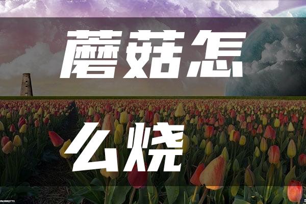 蘑菇怎么烧