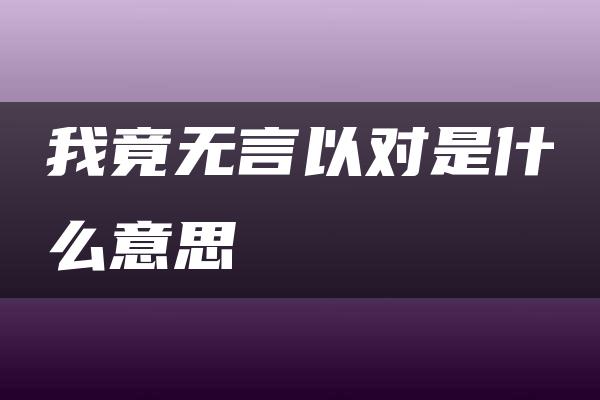 我竟无言以对是什么意思