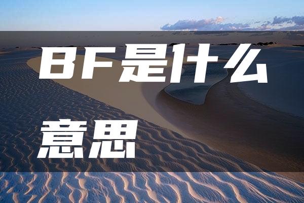 BF是什么意思