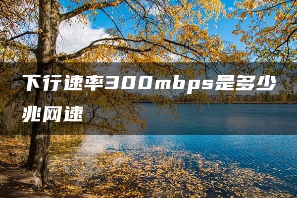 下行速率300mbps是多少兆网速