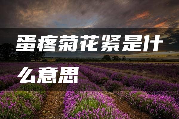 蛋疼菊花紧是什么意思