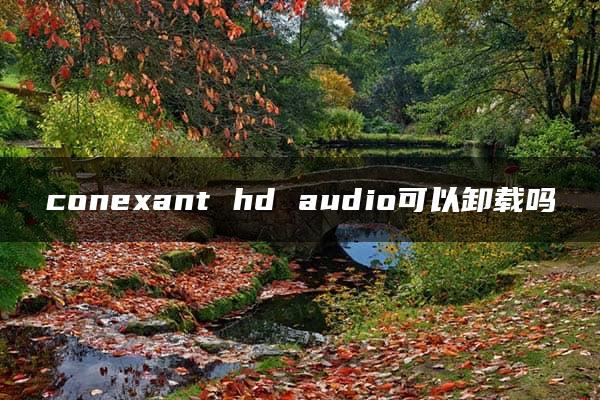 conexant hd audio可以卸载吗