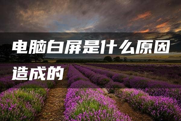 电脑白屏是什么原因造成的