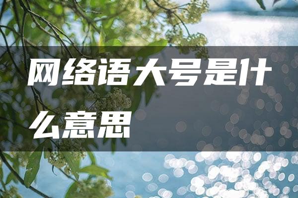 网络语大号是什么意思