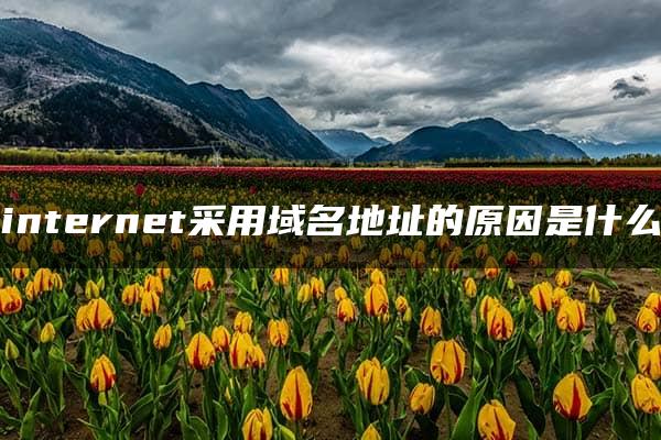 internet采用域名地址的原因是什么