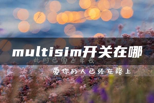 multisim开关在哪