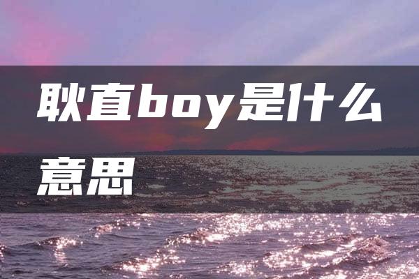 耿直boy是什么意思