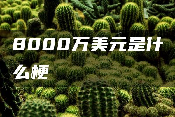 8000万美元是什么梗