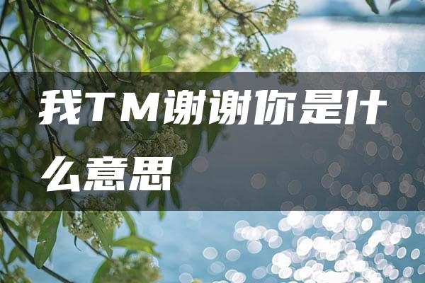 我TM谢谢你是什么意思