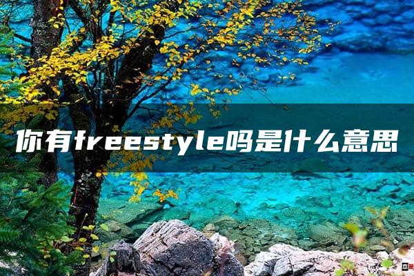 你有freestyle吗是什么意思