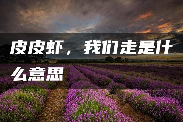 皮皮虾，我们走是什么意思