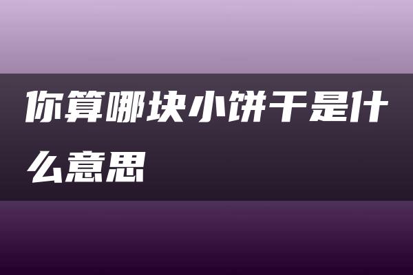 你算哪块小饼干是什么意思