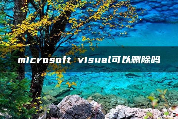 microsoft visual可以删除吗