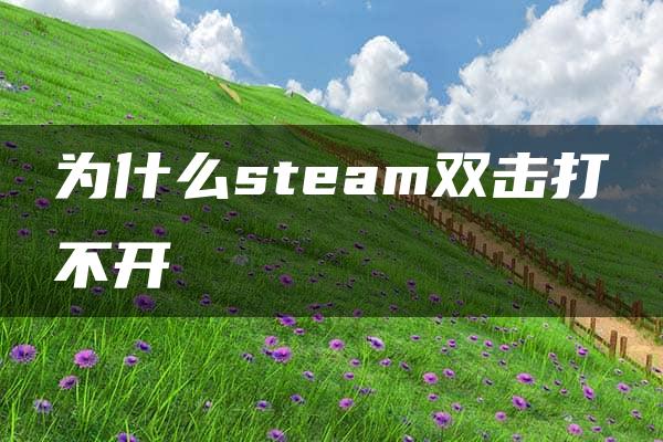 为什么steam双击打不开