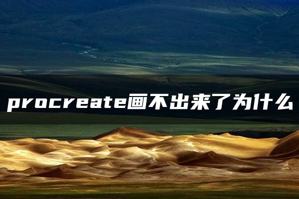 procreate画不出来了为什么