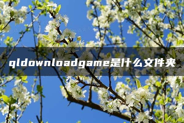 qldownloadgame是什么文件夹