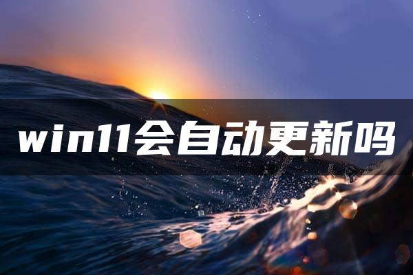 win11会自动更新吗