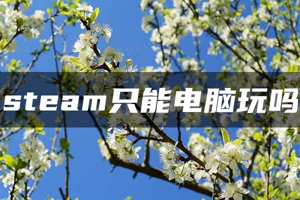 steam只能电脑玩吗