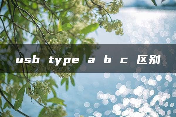 usb type a b c 区别