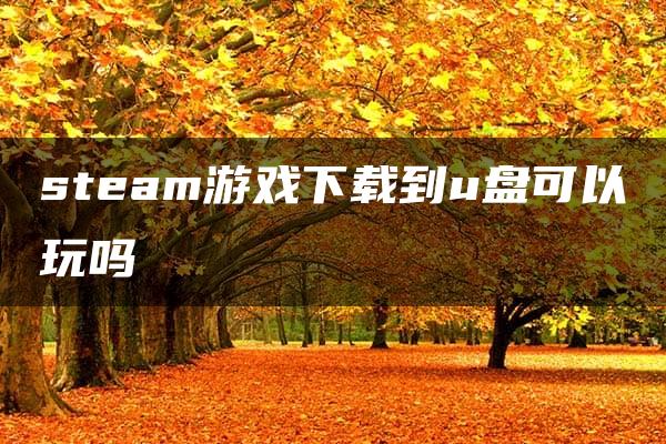 steam游戏下载到u盘可以玩吗