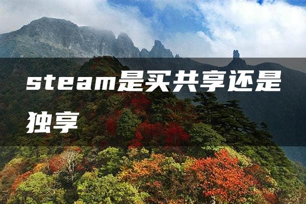 steam是买共享还是独享