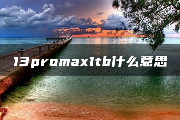 13promax1tb什么意思