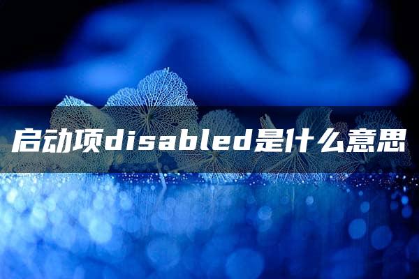 启动项disabled是什么意思