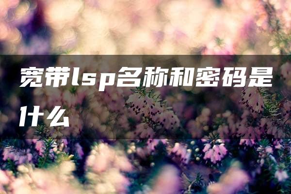 宽带lsp名称和密码是什么