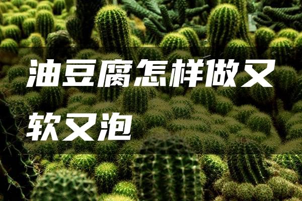 油豆腐怎样做又软又泡