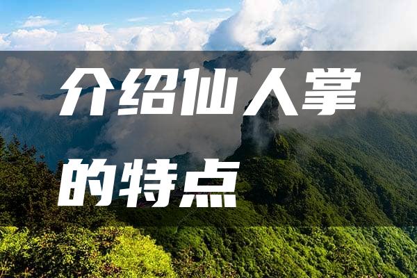 介绍仙人掌的特点