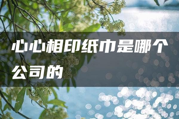 心心相印纸巾是哪个公司的