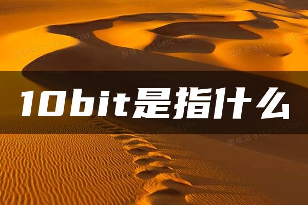 10bit是指什么