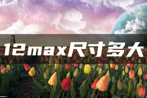 12max尺寸多大