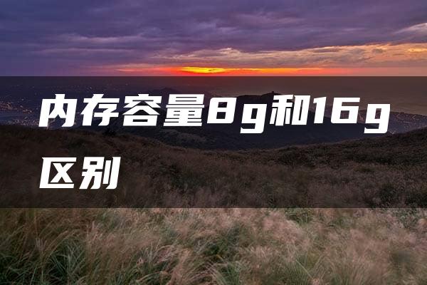 内存容量8g和16g区别