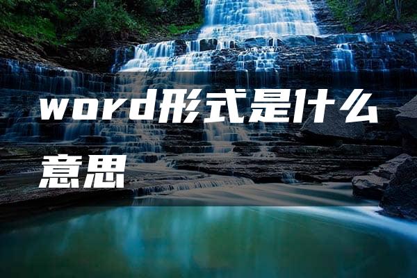 word形式是什么意思