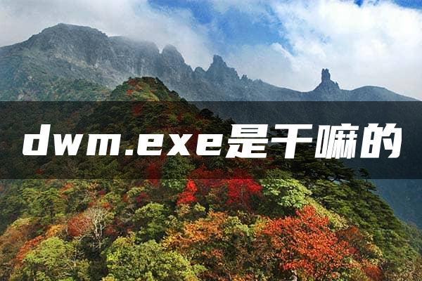 dwm.exe是干嘛的