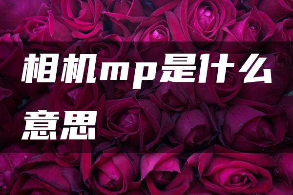 相机mp是什么意思