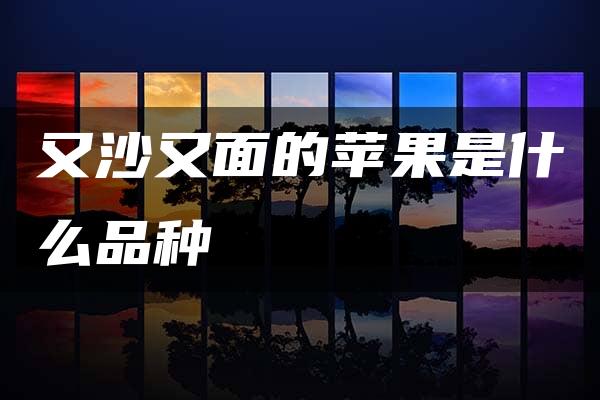 又沙又面的苹果是什么品种