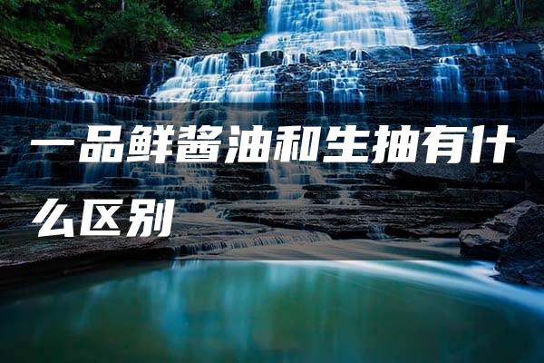 一品鲜酱油和生抽有什么区别