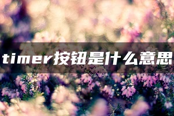 timer按钮是什么意思