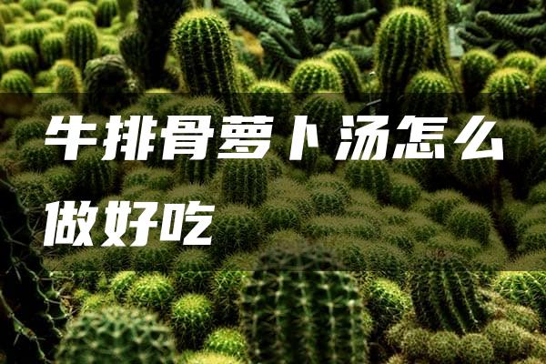 牛排骨萝卜汤怎么做好吃