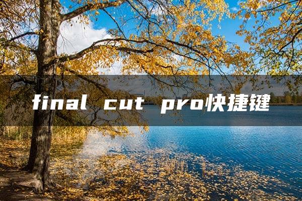 final cut pro快捷键