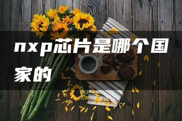 nxp芯片是哪个国家的