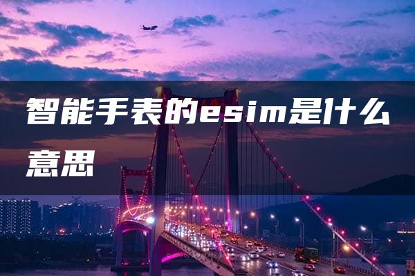 智能手表的esim是什么意思