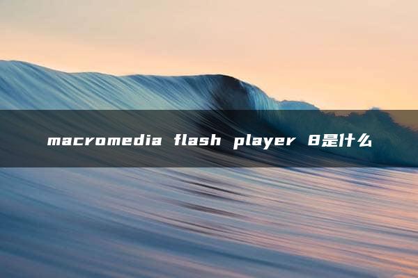 macromedia flash player 8是什么