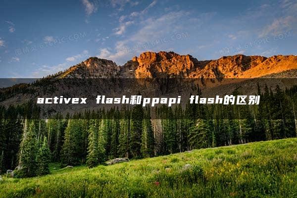 activex flash和ppapi flash的区别