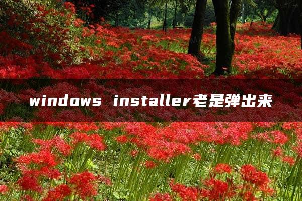 windows installer老是弹出来